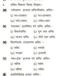 MP Board 10th Sanskrit Guess Paper 2019 | Hindi Medium Blue print