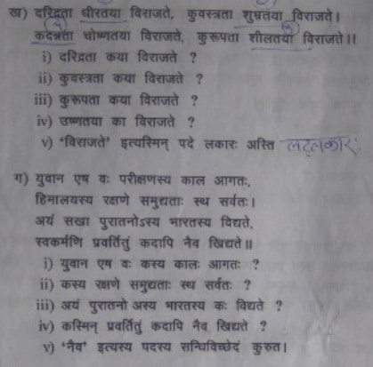 Sanskrit model Paper MP board