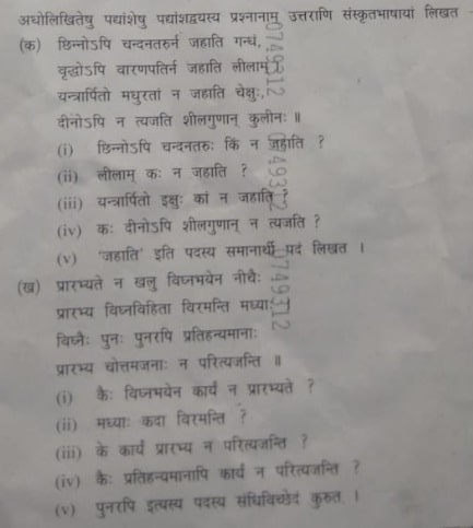 sample paper sanskrit 