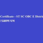 Caste Certificate - ST SC OBC E District | जाति प्रमाण पत्र