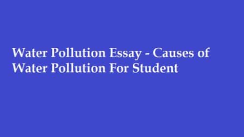 essay about causes of water pollution