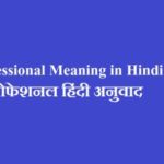 Professional Meaning in Hindi - प्रोफेशनल हिंदी अनुवाद