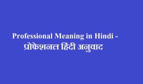 professional-meaning-in-hindi