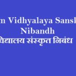 Mam Vidhyalaya Sanskrit Nibandh | मम विद्यालय संस्‍कृत निबंध