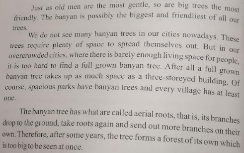 The great banyan tree