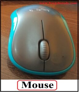 Mouse