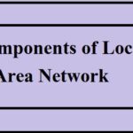 Components of Local Area Network