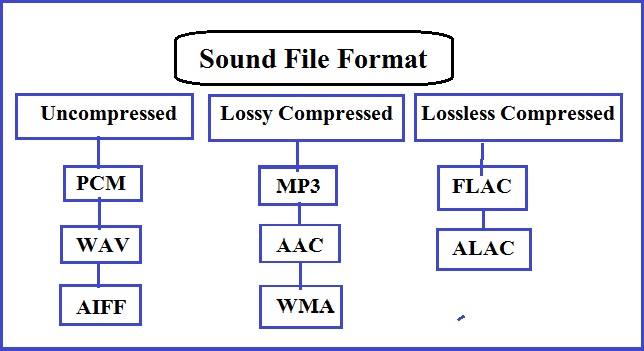 Analog Sound Digital Sound And Sound File Format Notes in Hindi - PGDCA