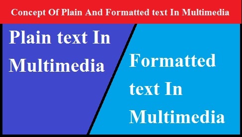 Concept Of Plain And Formatted text In Multimedia Notes in Hindi - PGDCA